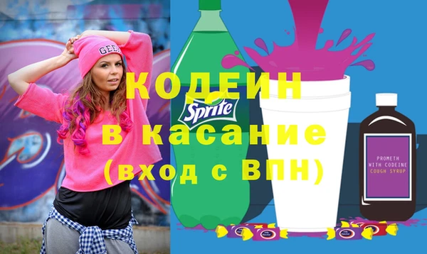 соль ск Белокуриха